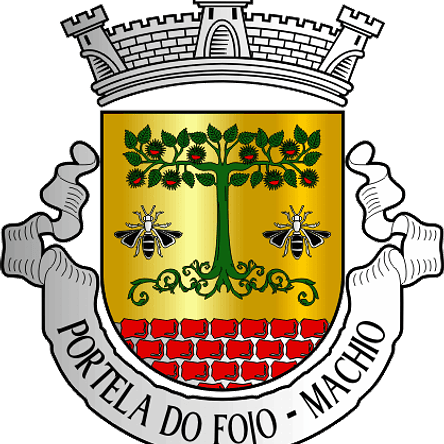 Emblema Bordado Freguesia de Portela do Fojo-Machio (Pampilhosa da Serra, Coimbra) 1
