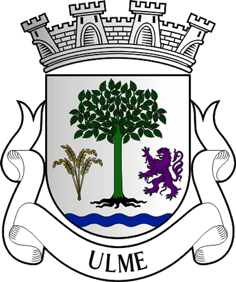 Emblema Bordado Freguesia de Ulme (Chamusca, Santarém)