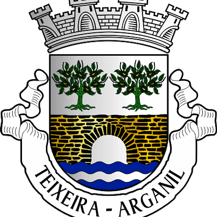 Emblema Bordado Antiga Freguesia de Teixeira (Arganil, Coimbra) 1
