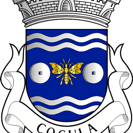 Emblema Bordado Freguesia de Cogula (Trancoso, Guarda) 1