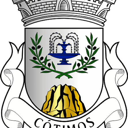 Emblema Bordado Freguesia de Cótimos (Trancoso, Guarda) 1