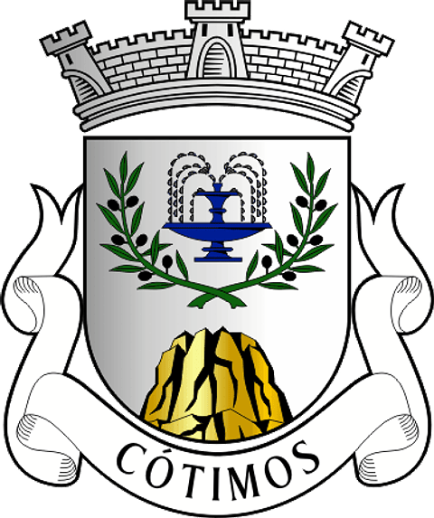 Emblema Bordado Freguesia de Cótimos (Trancoso, Guarda)