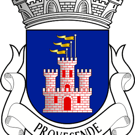 Emblema Bordado Antiga Freguesia de Provesende (Sabrosa, Vila Real) 1