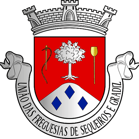 Emblema Bordado Freguesia de Sequeiros e Gradiz (Aguiar da Beira, Guarda) 1
