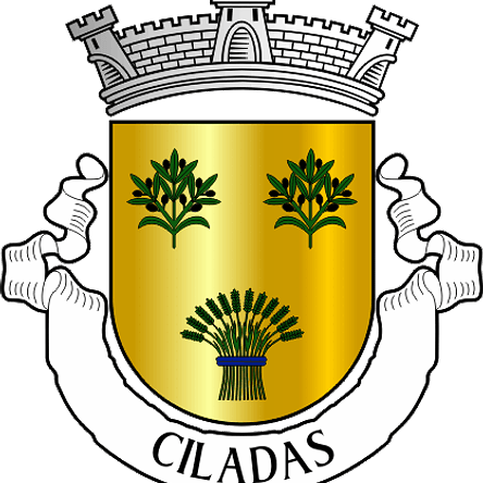Emblema Bordado Freguesia de Ciladas (Vila Viçosa, Évora) 1