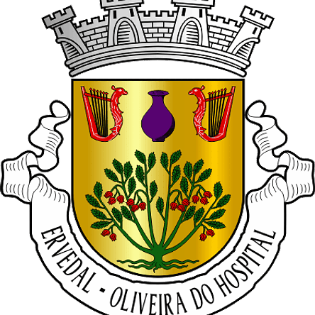 Emblema Bordado Antiga Freguesia de Ervedal (Oliveira do Hospital, Coimbra) 1