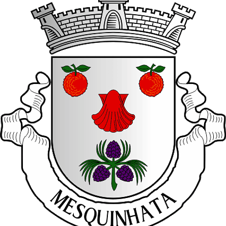 Emblema Bordado Antiga Freguesia de Mesquinhata (Baião, Porto) 1