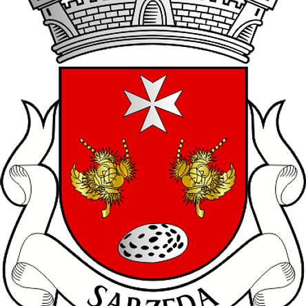 Emblema Bordado Antiga Freguesia de Sarzeda (Sernancelhe, Viseu) 1