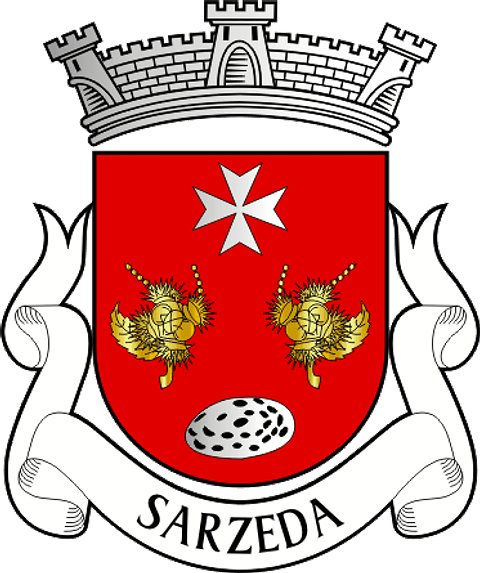 Emblema Bordado Antiga Freguesia de Sarzeda (Sernancelhe, Viseu)
