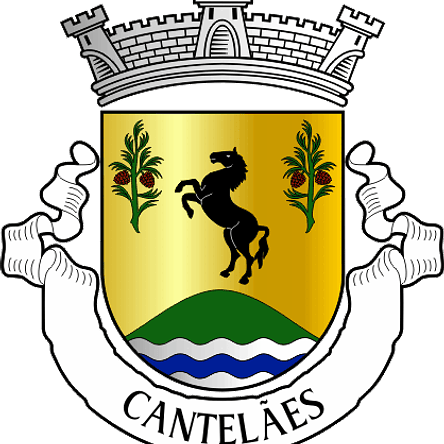 Emblema Bordado Freguesia de Cantelães (Vieira do Minho, Braga) 1
