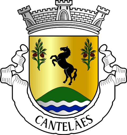 Emblema Bordado Freguesia de Cantelães (Vieira do Minho, Braga)