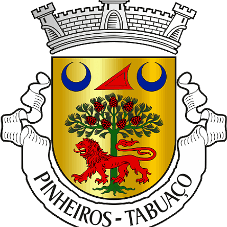 Emblema Bordado Antiga Freguesia de Pinheiros (Tabuaço, Viseu) 1