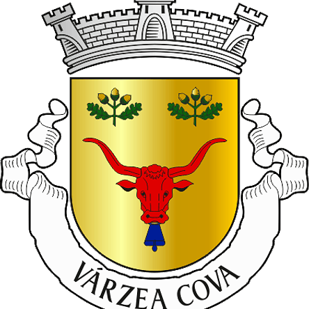 Emblema Bordado Antiga Freguesia de Várzea Cova (Fafe, Braga) 1