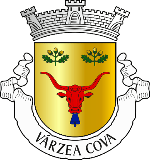 Emblema Bordado Antiga Freguesia de Várzea Cova (Fafe, Braga)