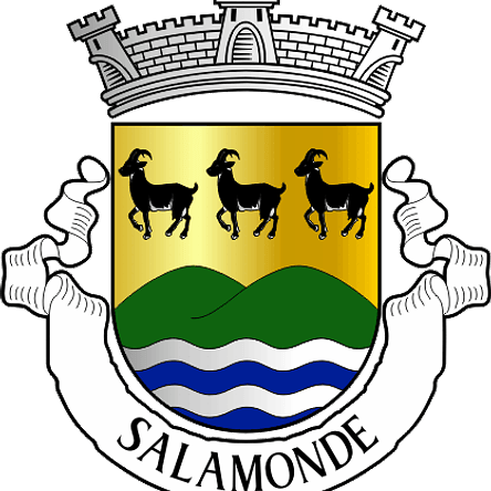 Emblema Bordado Freguesia de Salamonde (Vieira do Minho, Braga) 1