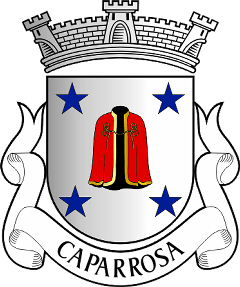 Emblema Bordado Antiga Freguesia de Caparrosa (Tondela, Viseu)