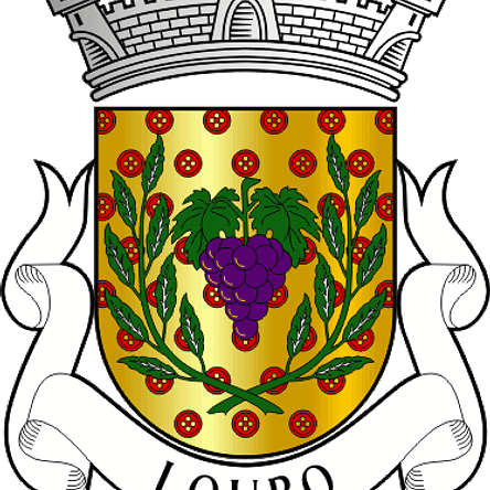 Emblema Bordado Freguesia de Louro (Vila Nova de Famalicão, Braga) 1