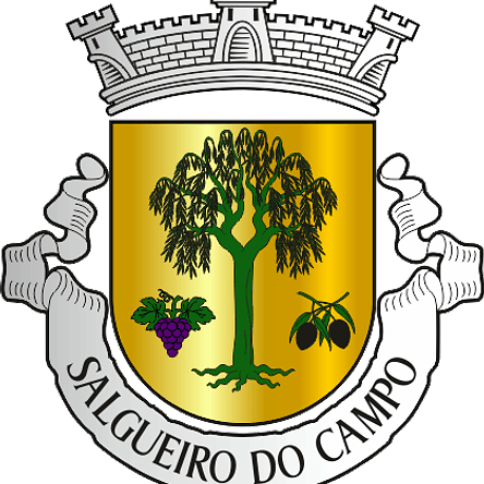Emblema Bordado Freguesia de Salgueiro do Campo (Castelo Branco, Castelo Branco) 1