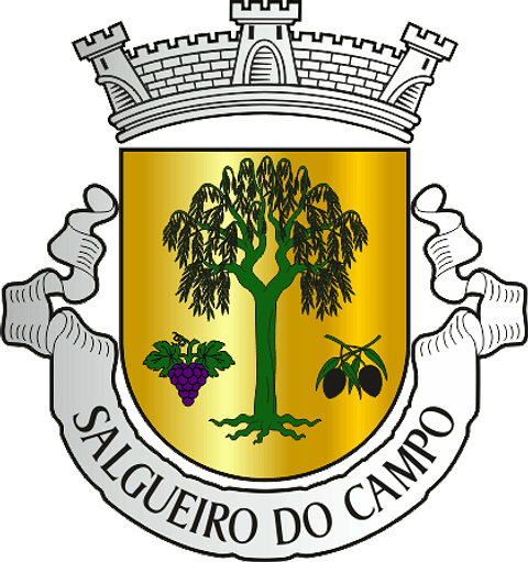 Emblema Bordado Freguesia de Salgueiro do Campo (Castelo Branco, Castelo Branco)