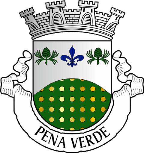 Emblema Bordado Freguesia de Pena Verde (Aguiar da Beira, Guarda)