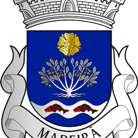 Emblema Bordado Freguesia de Madeirã (Oleiros, Castelo Branco) 1