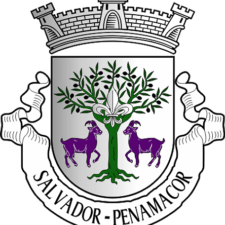 Emblema Bordado Freguesia de Salvador (Penamacor, Castelo Branco) 1