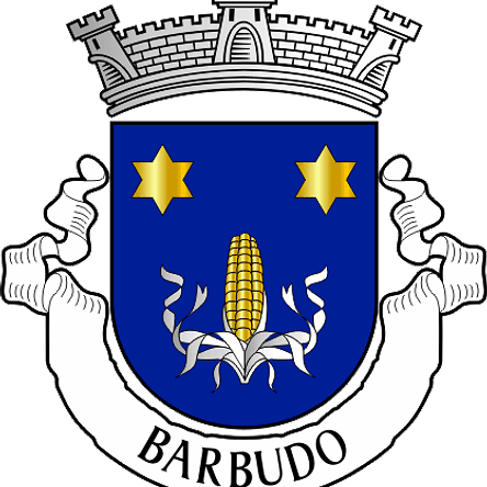 Emblema Bordado Antiga Freguesia de Barbudo (Vila Verde, Braga) 1