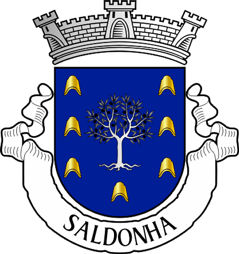 Emblema Bordado Antiga Freguesia de Saldonha (Alfândega da Fé, Bragança)