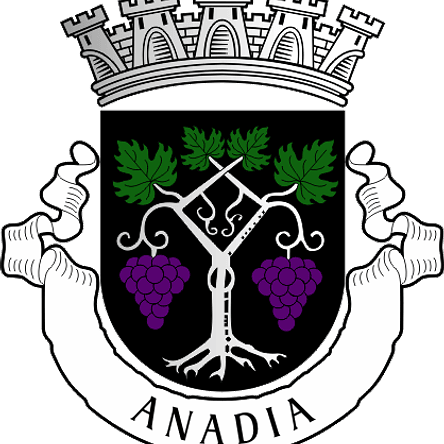 Emblema Bordado Município de Anadia (Aveiro) 1