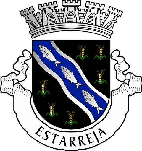 Emblema Bordado Município de Estarreja (Aveiro)