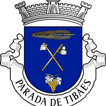 Emblema Bordado Antiga Freguesia de Parada de Tibães (Braga, Braga) 1
