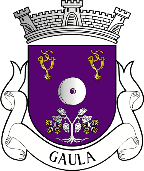 Emblema Bordado Freguesia de Gaula (Santa Cruz, Madeira)