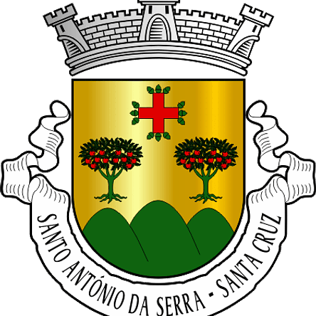Emblema Bordado Freguesia de Santo António da Serra (Santa Cruz, Madeira) 1