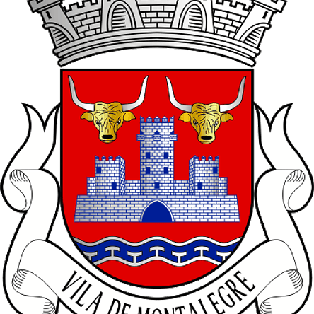 Emblema Bordado Município de Montalegre (Vila Real) 1