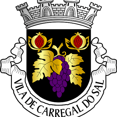 Emblema Bordado Município de Carregal do Sal (Viseu) 1