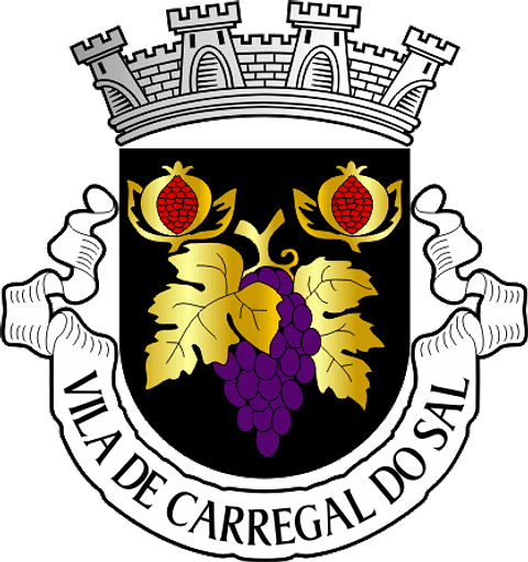 Emblema Bordado Município de Carregal do Sal (Viseu)