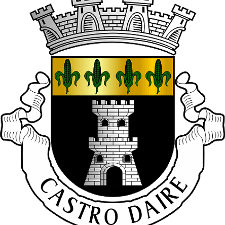 Emblema Bordado Município de Castro Daire (Viseu) 1