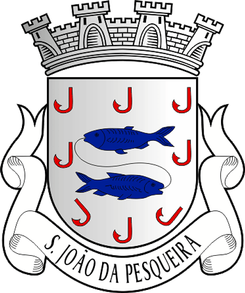 Emblema Bordado Município de São João da Pesqueira (Viseu)