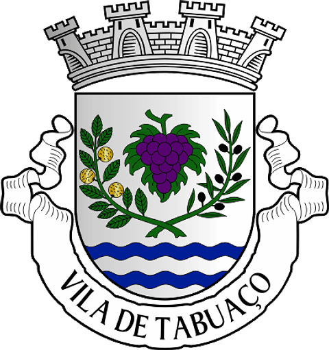 Emblema Bordado Município de Tabuaço (Viseu)