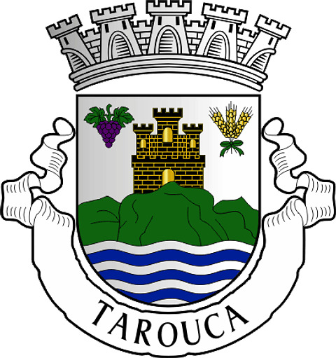 Emblema Bordado Município de Tarouca (Viseu)