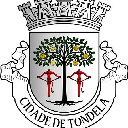 Emblema Bordado Município de Tondela (Viseu) 1