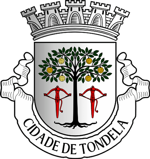 Emblema Bordado Município de Tondela (Viseu)