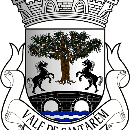 Emblema Bordado Freguesia de Vale de Santarém (Santarém, Santarém) 1