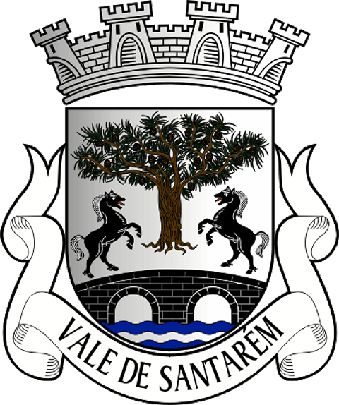 Emblema Bordado Freguesia de Vale de Santarém (Santarém, Santarém)