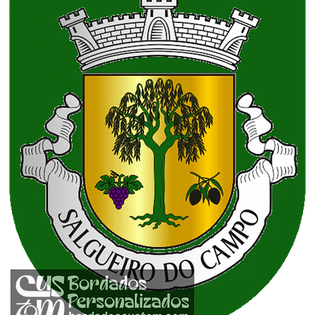 Emblema Bordado Freguesia de Salgueiro do Campo (Castelo Branco, Castelo Branco) 1