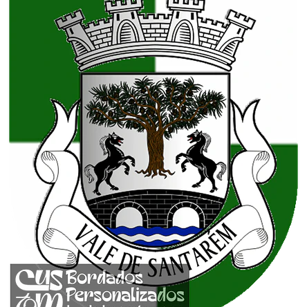 Emblema Bordado Freguesia de Vale de Santarém (Santarém, Santarém) 1