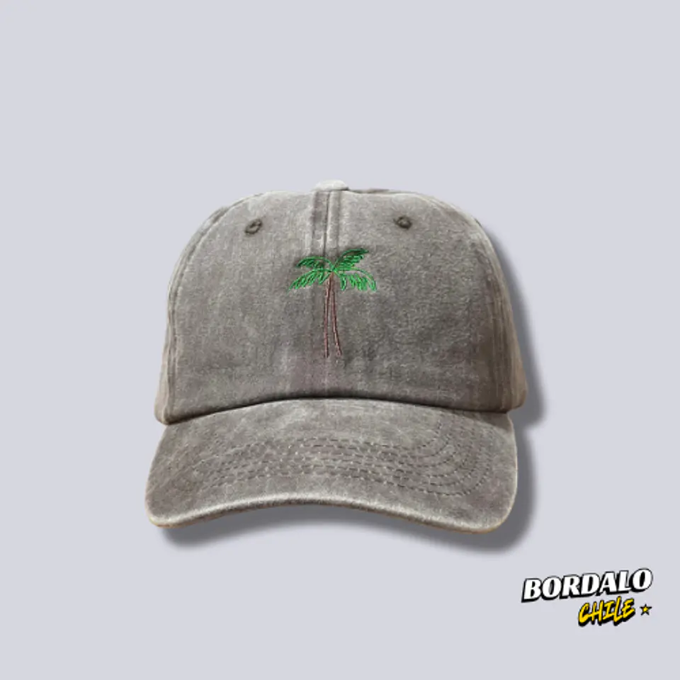 Gorro Palm Beach 🌴 1