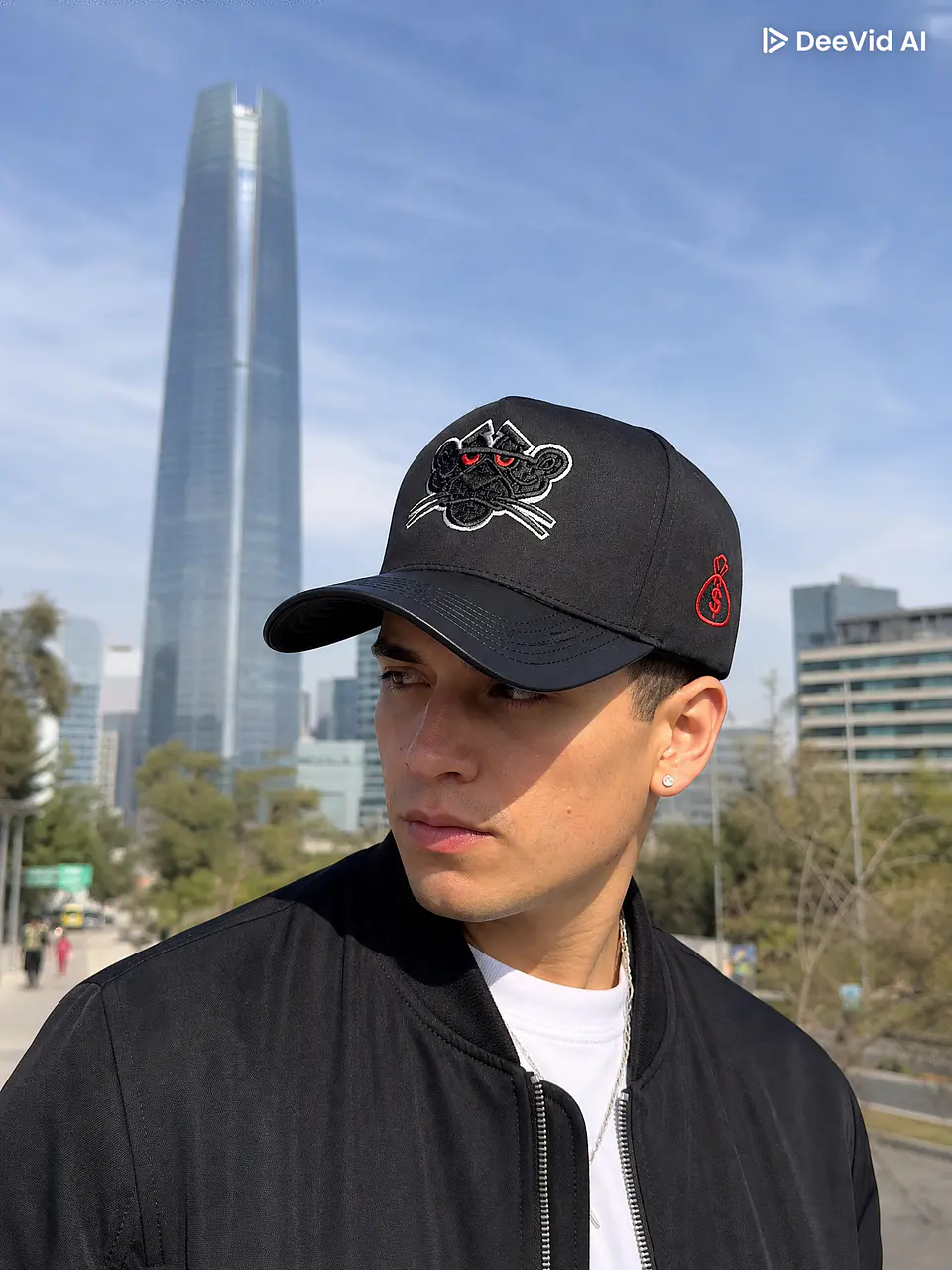Gorro Pantera Negra 1