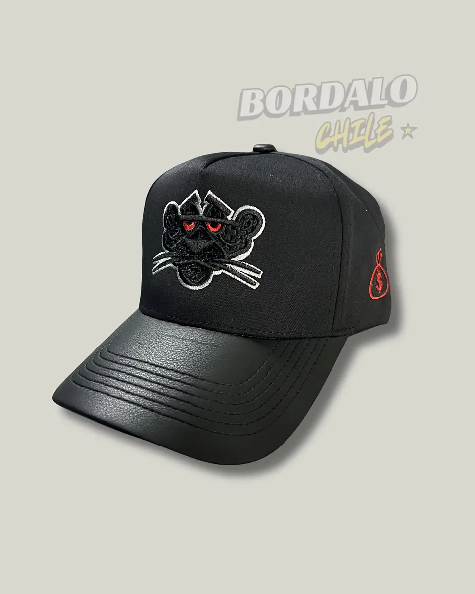 Gorro Pantera Negra 2