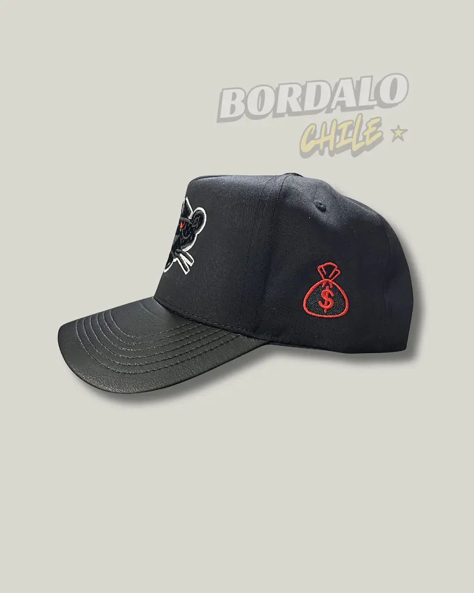 Gorro Pantera Negra 3
